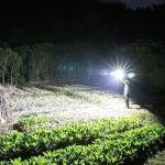 8-in-1 Rechargeable LED Flashlight Torch with Safety Hammer & Power Bank | Mini Projector Headlight
