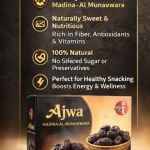 Ajwa Dates from Madina-e-Munawara | Premium Quality | Naturally Sweet & Soft | 250g Pack